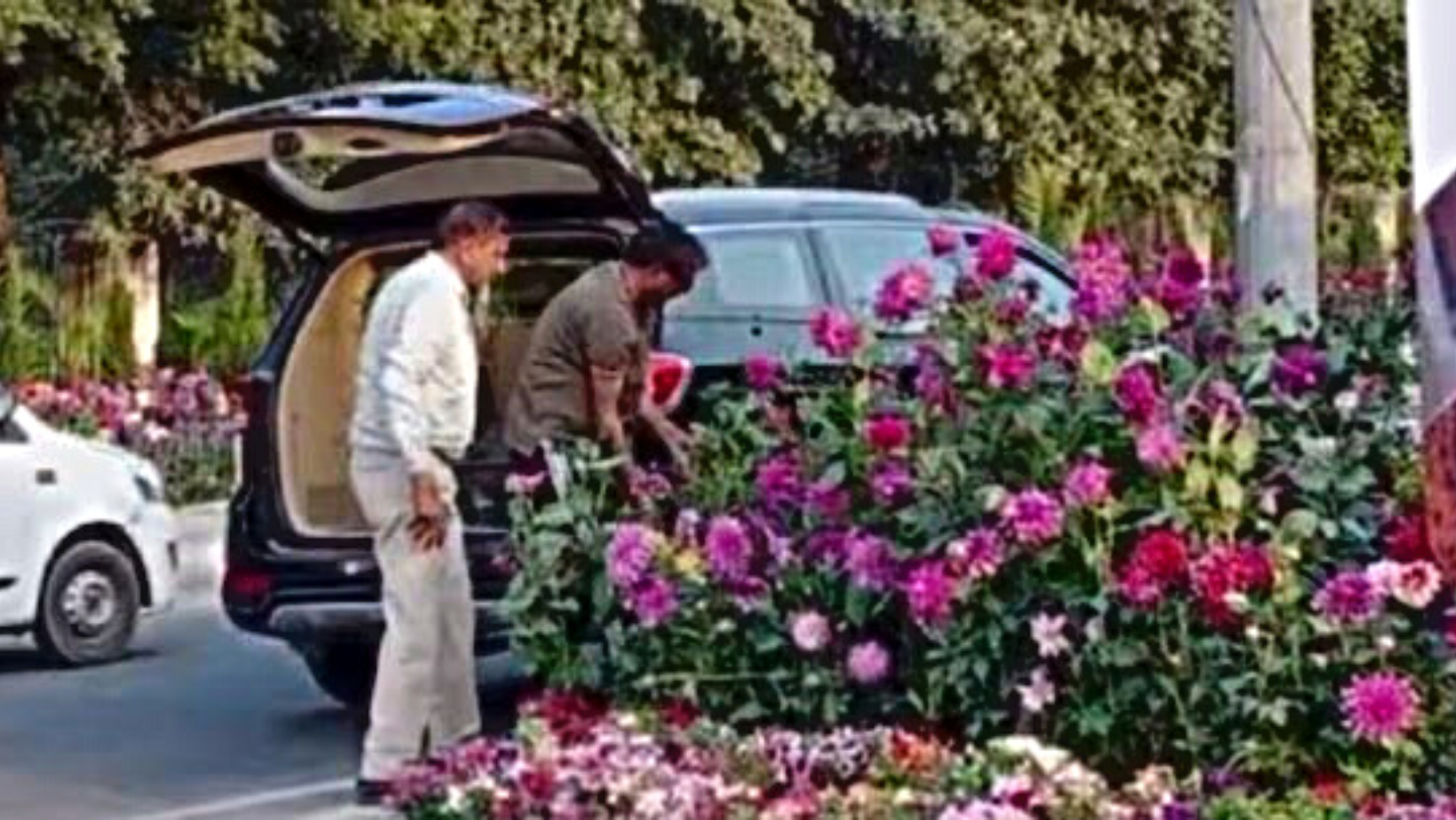 1 arrested for stealing flower pots set up for G20 event on Delhi