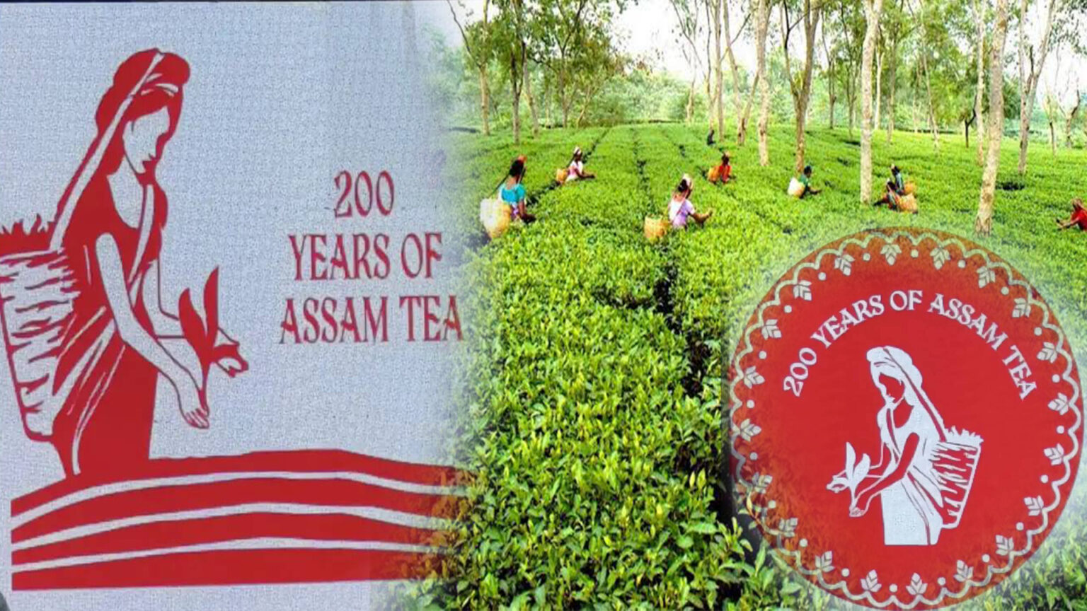 Tea Board of India launches new logo for Assam Tea to mark 200 glorious
