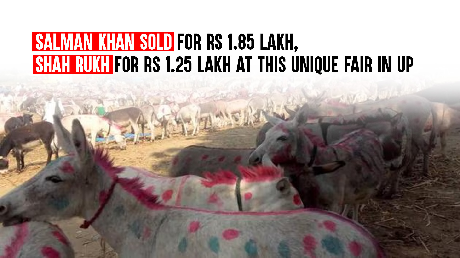 Salman Khan Sold for Rs 1.85 Lakh, Shah Rukh for Rs 1.25 Lakh at This ...