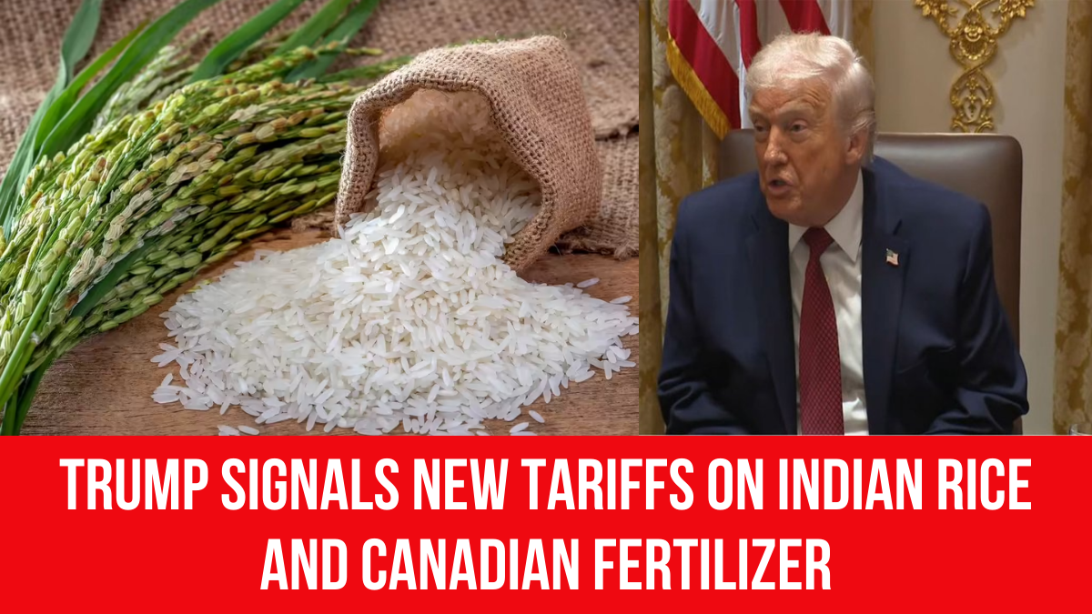 Donald Trump Rice Trump signals new tariffs on Indian rice and Canadian fertilizer