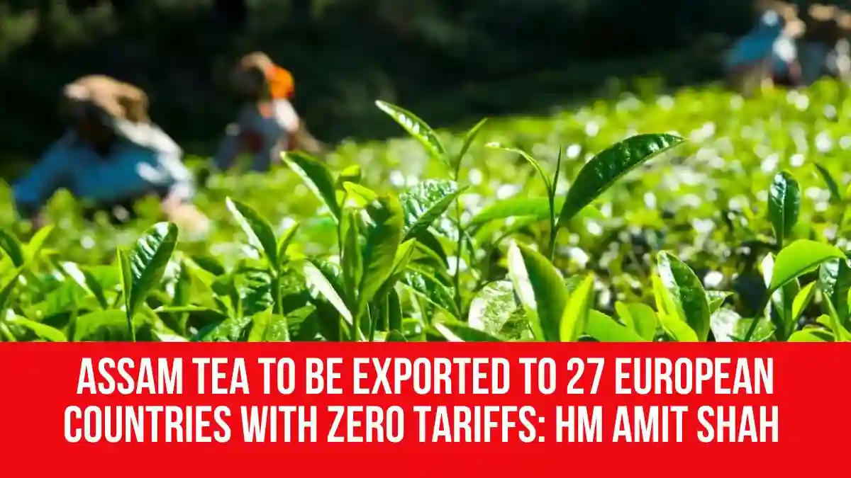 Assam Tea to Be Exported to 27 European Countries With Zero Tariffs: HM ...