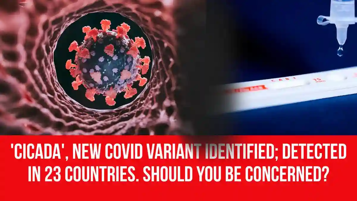 'Cicada', New Covid Variant Identified; Detected in 23 Countries ...