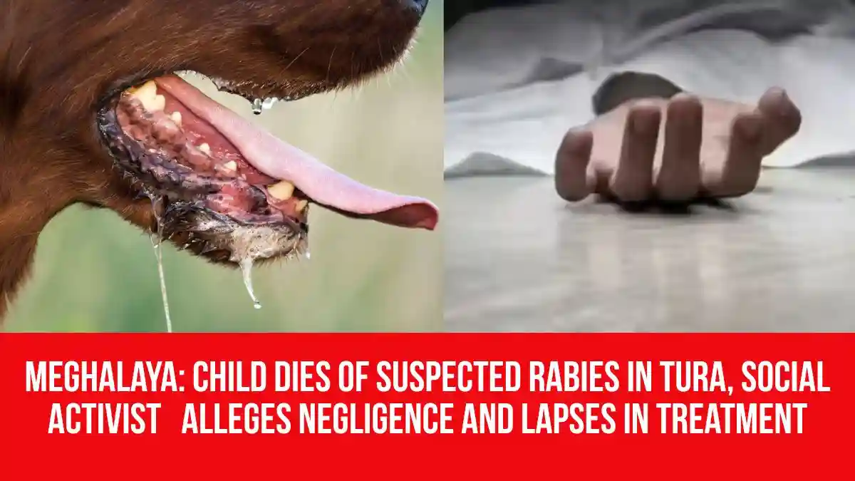 Meghalaya: Child Dies of Suspected Rabies in Tura, Social Activist ...