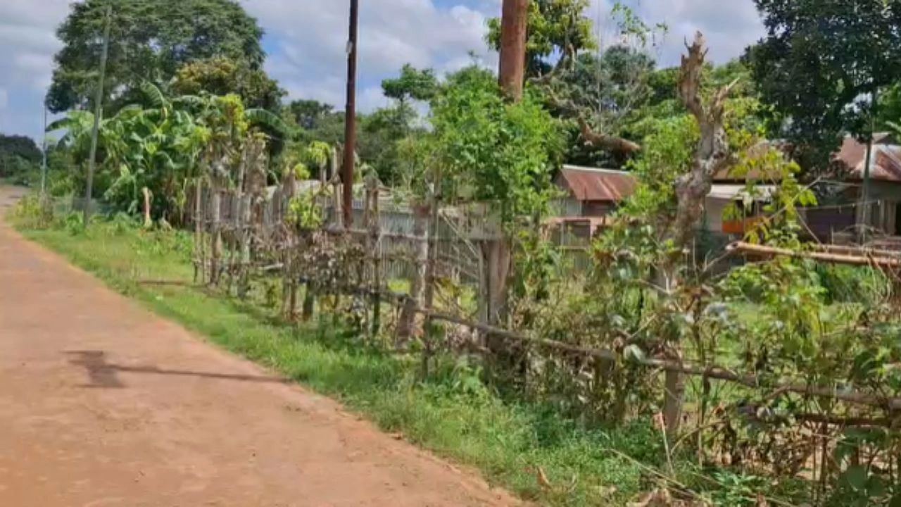 Tripura to strengthen Bangladesh border with smart fencing, layered surveillance